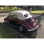 Beetle Model 1302 (H1100)  甲蟲1302型（H1100）